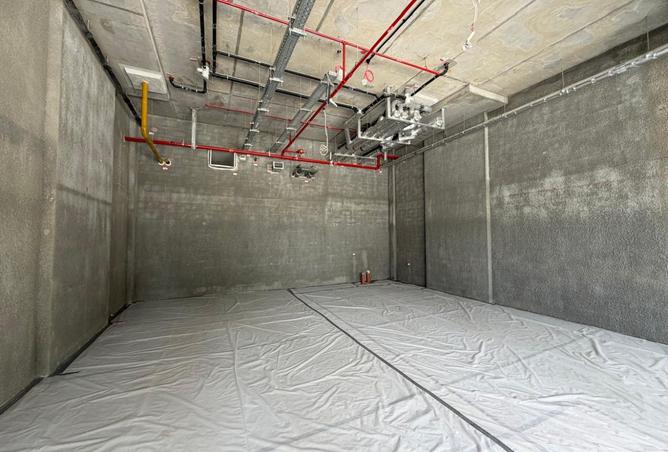 117252471 - Property Image 3