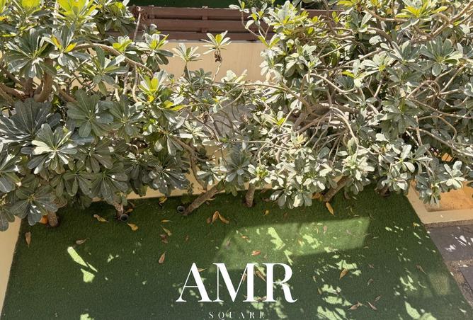 73120106 - صورة العقار 2