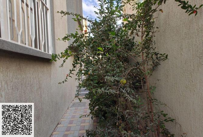 99119307 - صورة العقار 3