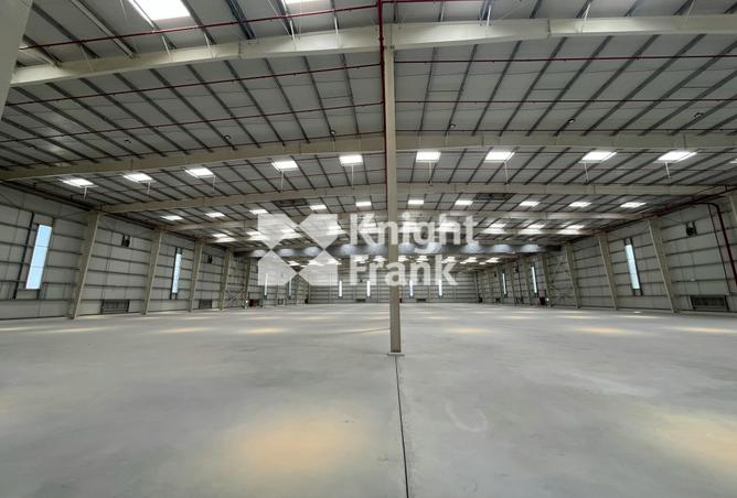 64428806 - صورة العقار 3