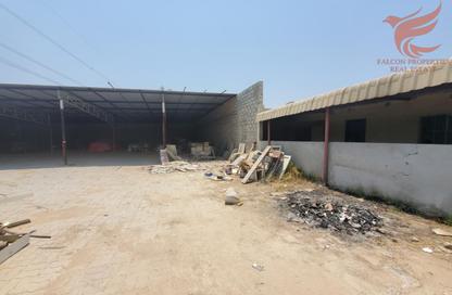 مستودع - استوديو - 1 للايجار في الفلية - رأس الخيمة مستودع - استوديو - 1 للايجار في الفلية - رأس الخيمة
