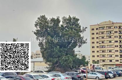 أرض - استوديو للبيع في الراشدية 2 - الراشدية - عجمان