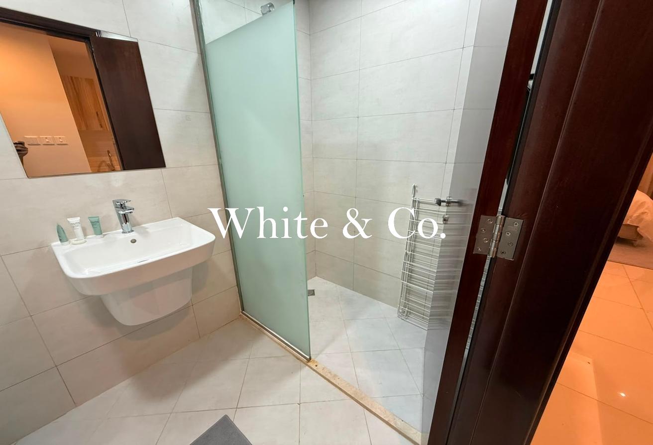 FULLY FURNISHED | SPACIOUS | LARGE TERRACE photo 13