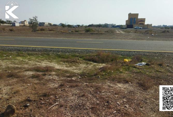 16093854 - Property Image 3