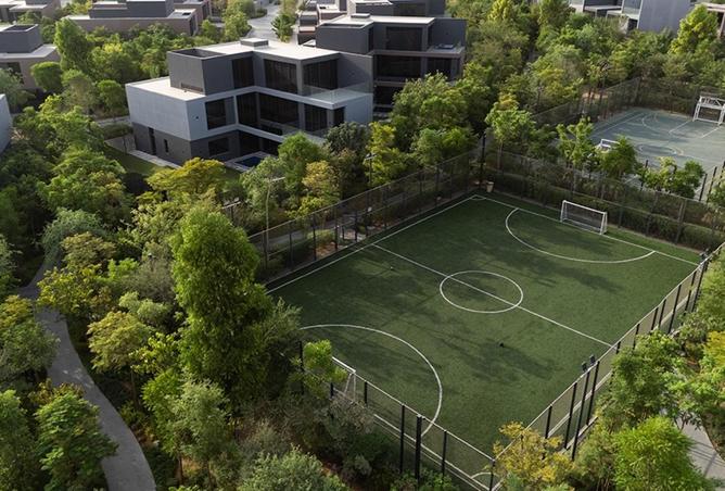 78205396 - Property Image 3