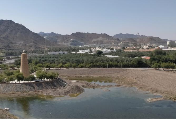 119042630 - الصورة الرئيسية للعقار
