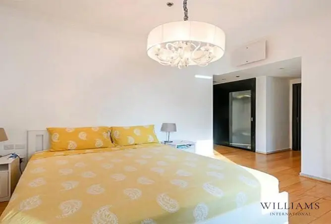 146421737 - Property Image 3