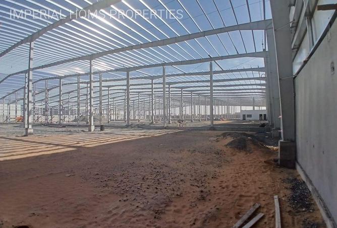 16278703 - Property Image 3