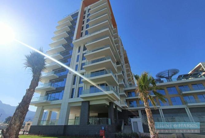 51203592 - Property Image 3