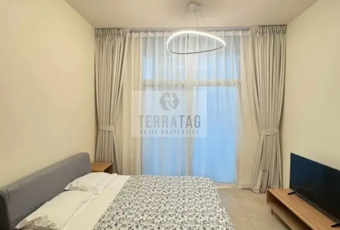 146455178 - Property Image 2