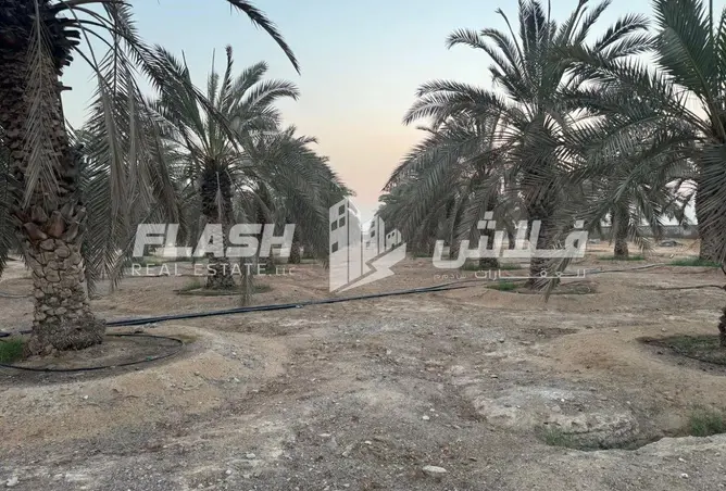 160083944 - صورة العقار 3