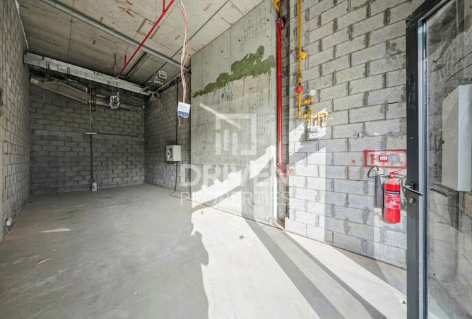 119481409 - Property Image 3