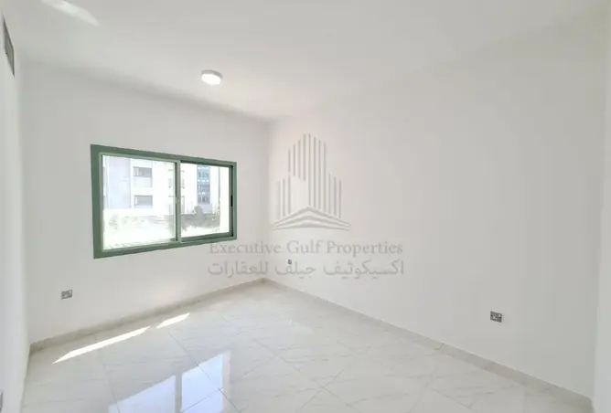146901942 - Property Image 3
