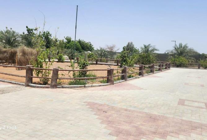 81937580 - صورة العقار 2