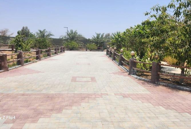 81937580 - صورة العقار 3