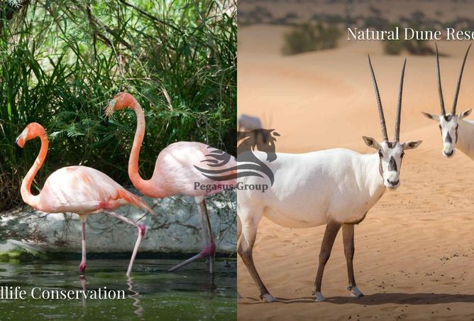 76966699 - صورة العقار 2