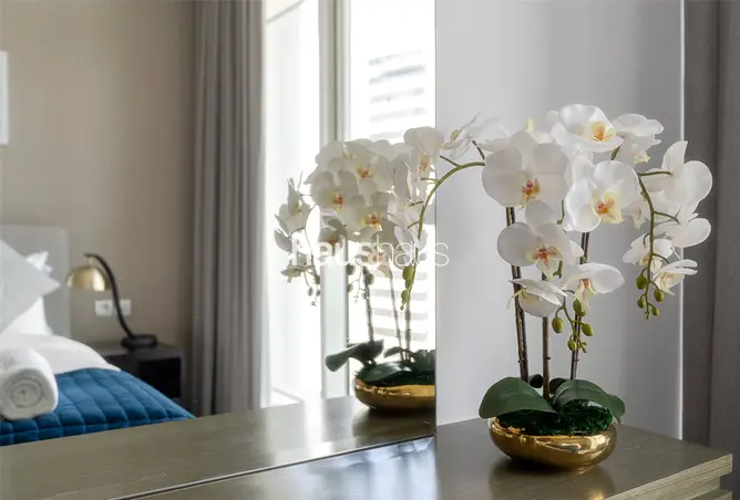 155510273 - Property Image 3