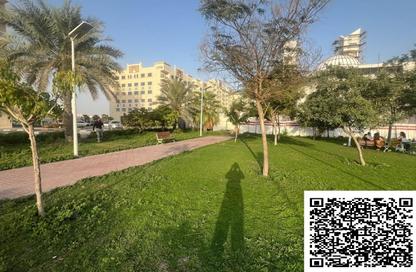Apartment - Studio - 1 Bathroom for rent in Al Amira Village - Al Yasmeen - Ajman