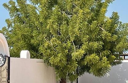 Villa - 7+ Bedrooms - 7 Bathrooms for rent in Al Uraibi - Ras Al Khaimah