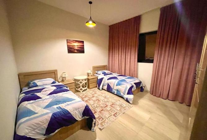 16268062 - Property Image 3