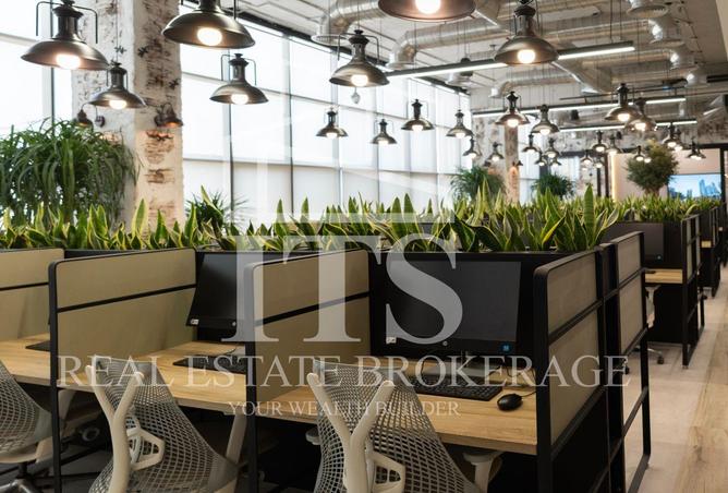 16293964 - Property Image 3