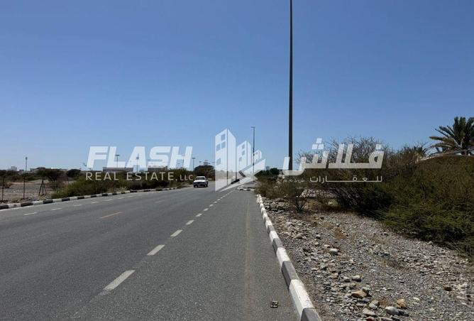 91357446 - صورة العقار 3