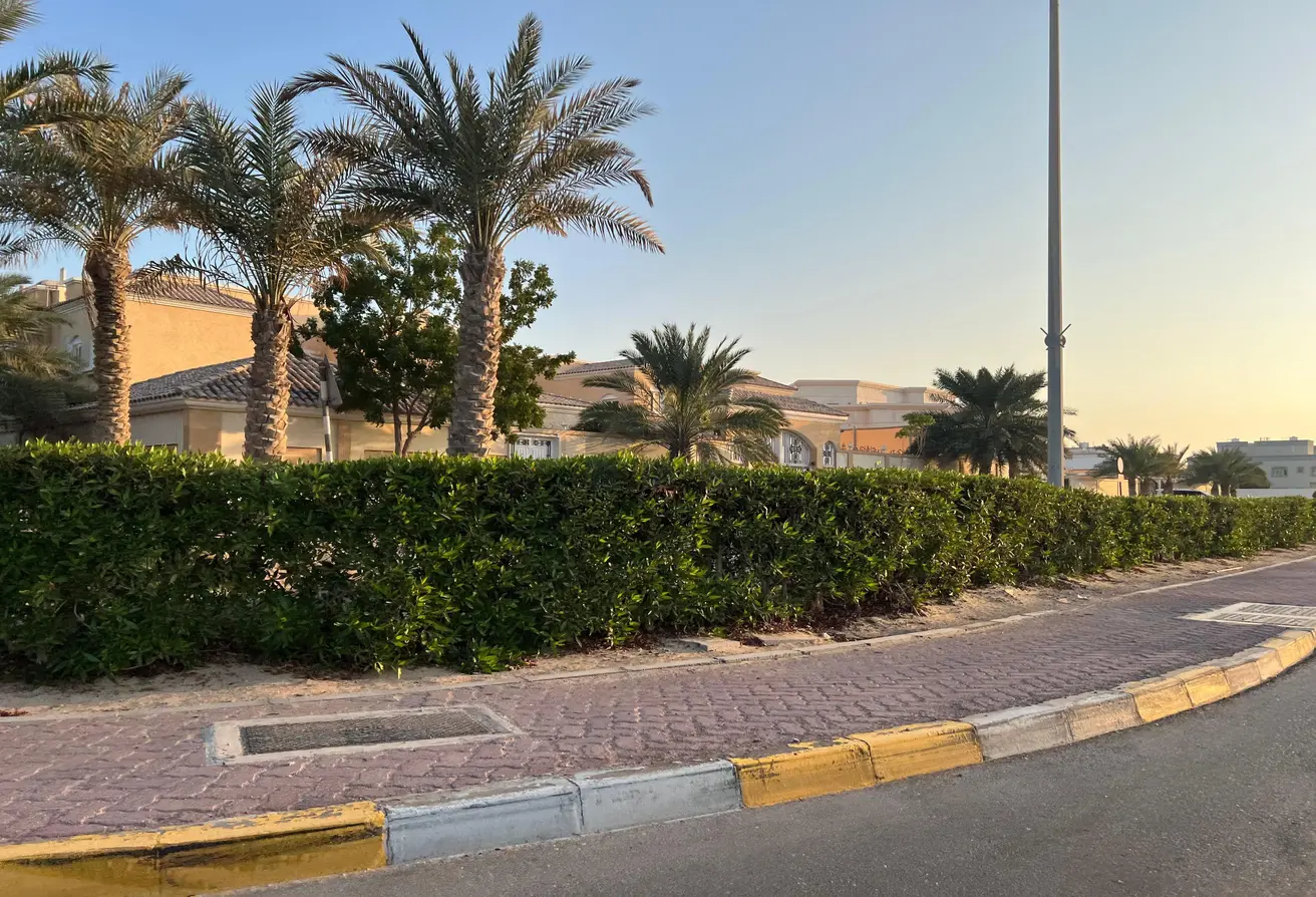 127911762 - الصورة الرئيسية للعقار