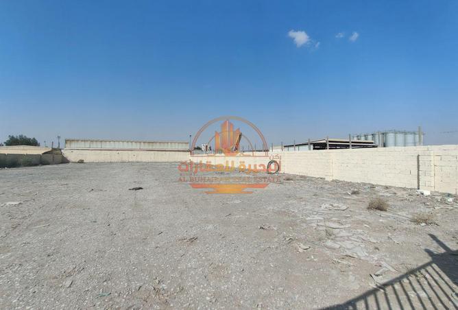 113254550 - Property Image 2