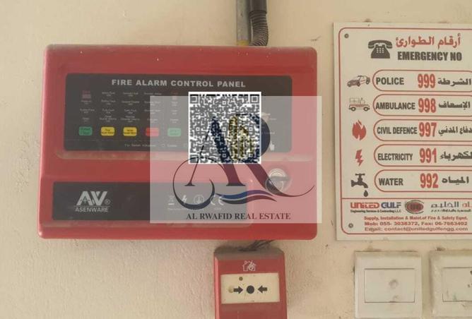 81529904 - صورة العقار 3