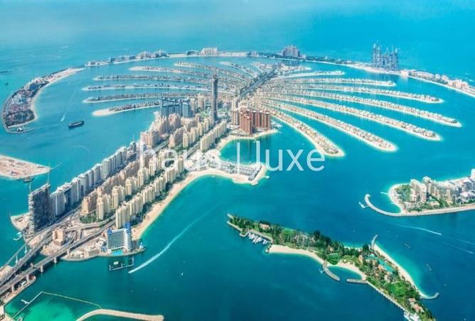 54009025 - صورة العقار 3