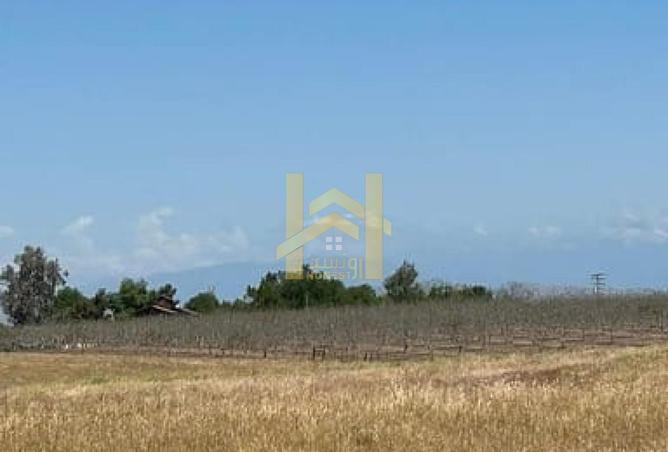 136120785 - Property Image 2