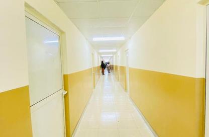 Staff Accommodation - Studio - 7+ Bathrooms for rent in M-14 - Mussafah Industrial Area - Mussafah - Abu Dhabi