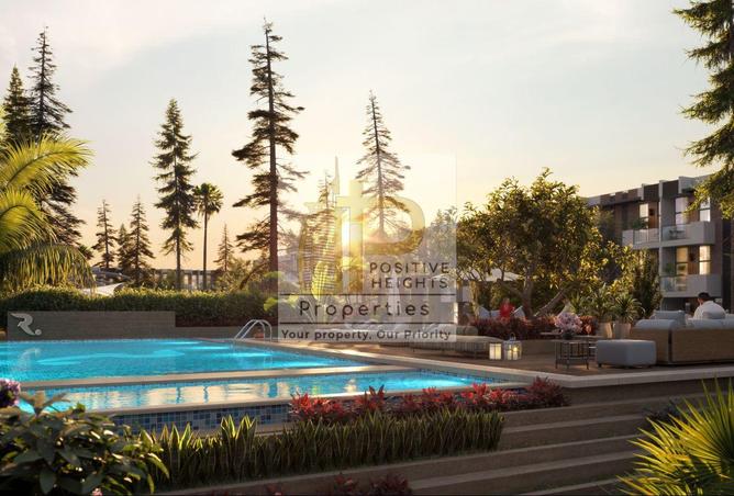 16051450 - Property Image 3