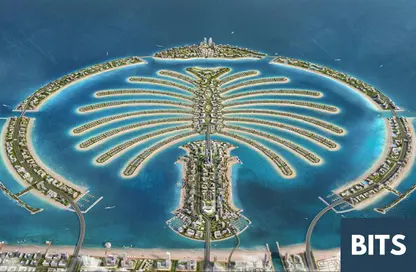 أرض - استوديو للبيع في بالم جبال علي - فروند أو - نخلة جبل علي - دبي