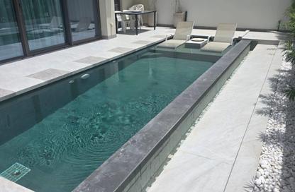 Villa - 4 Bedrooms - 4 Bathrooms for rent in Nara - The Valley - Dubai