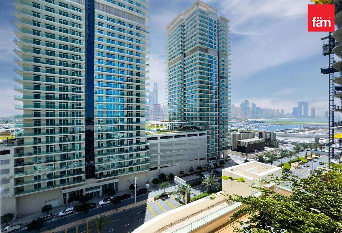 Biggest size | Palm Views | Ready to move in photo 19