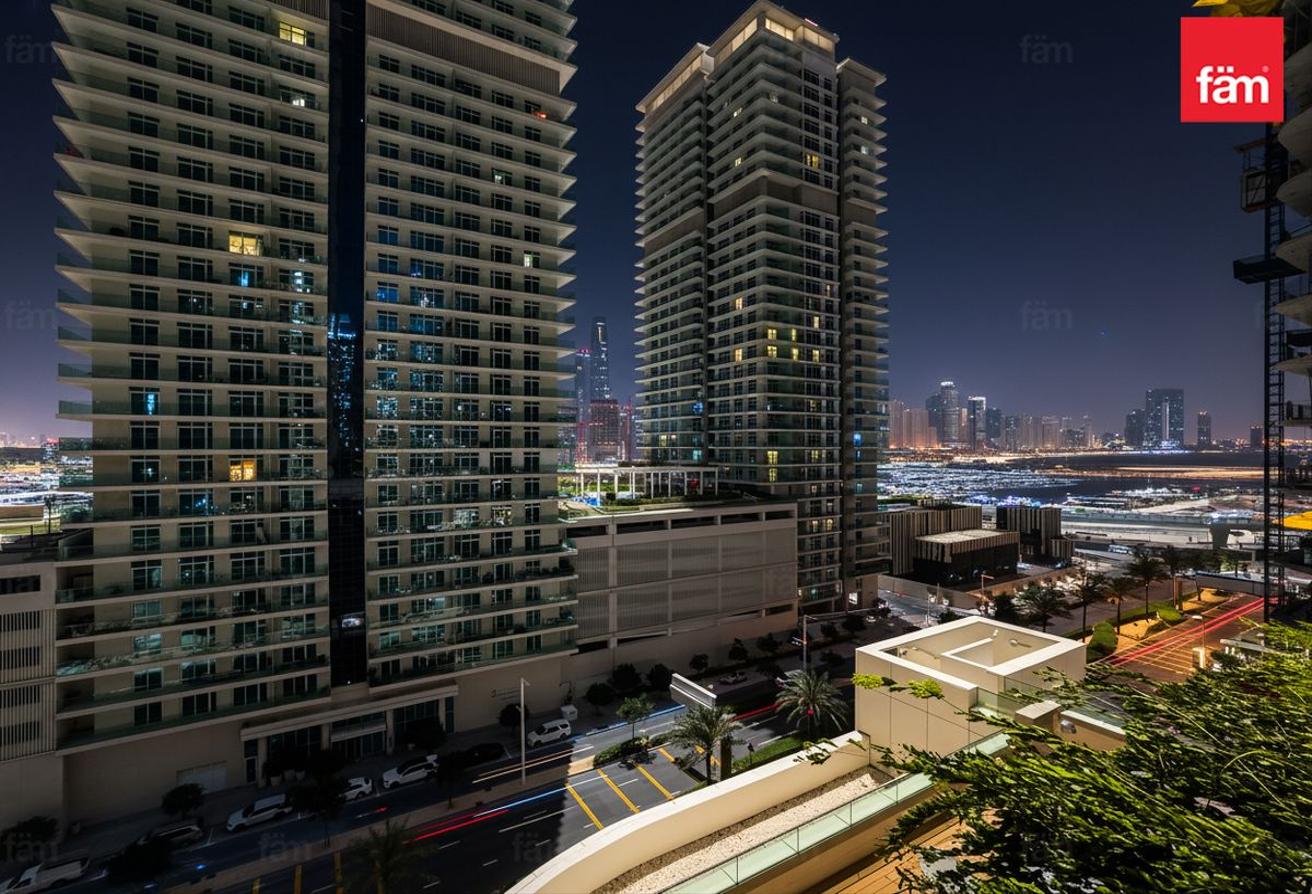 Biggest size | Palm Views | Ready to move in photo 20