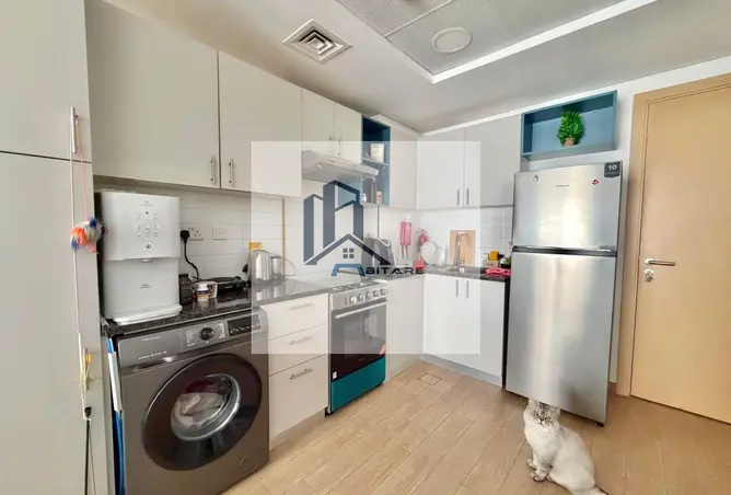 149579595 - Property Image 3