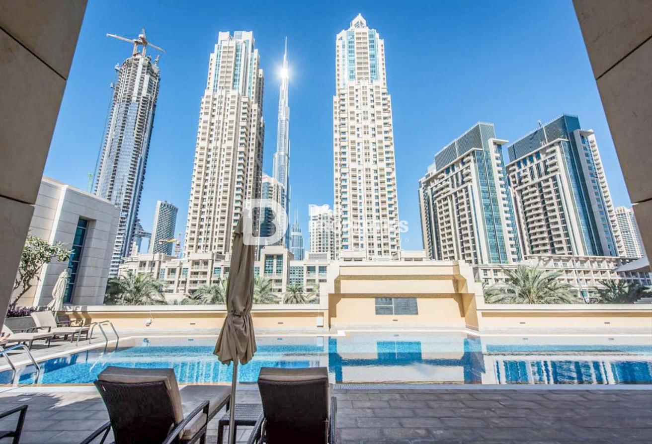Boulevard View | Lower Floor | Available Now photo 8
