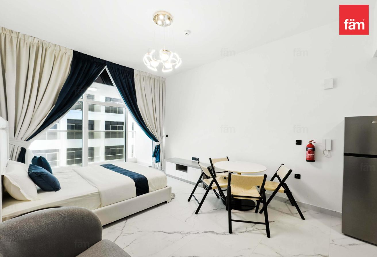 Fully furnished studio Park view photo 8