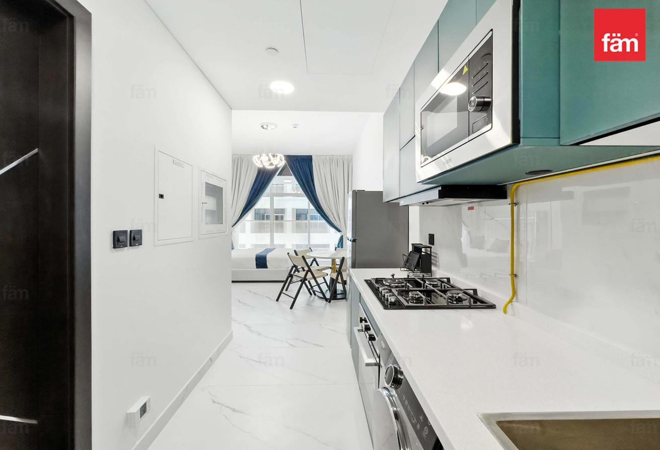 Fully furnished studio Park view photo 5