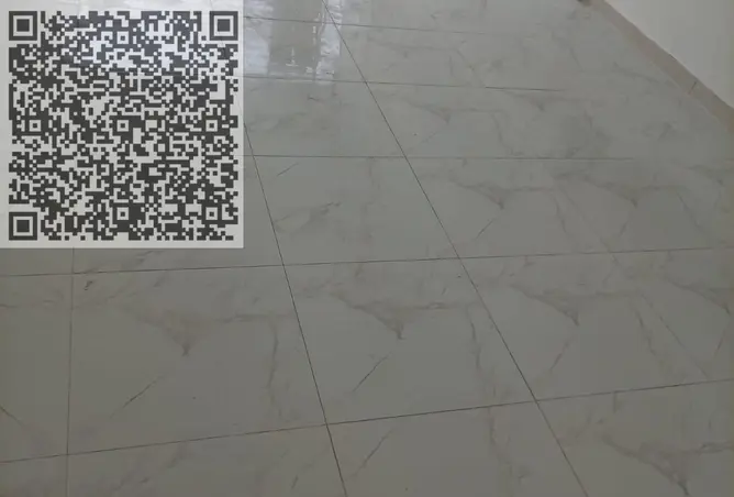 165623217 - Property Image 2
