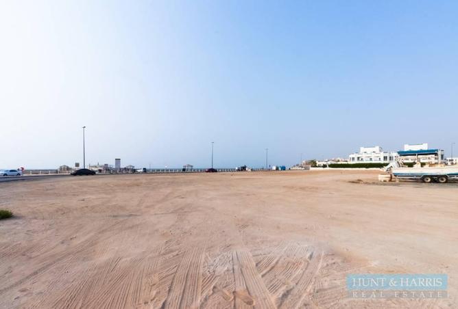 16213699 - Property Image 3