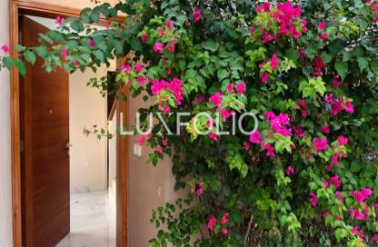 Townhouse - 4 Bedrooms - 4 Bathrooms for rent in Maple at Dubai Hills Estate 2 - Maple at Dubai Hills Estate - Dubai Hills Estate - Dubai