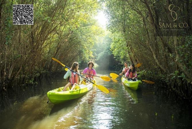 71486343 - Property Image 3