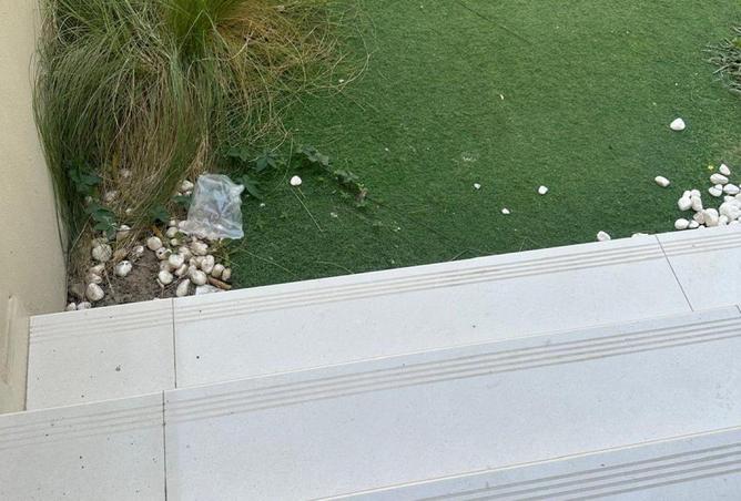 55354759 - صورة العقار 2