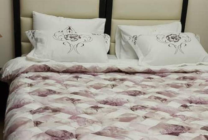 74642665 - صورة العقار 3