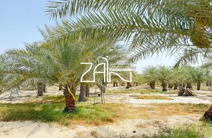 أرض - استوديو للبيع في الختم - أبوظبي