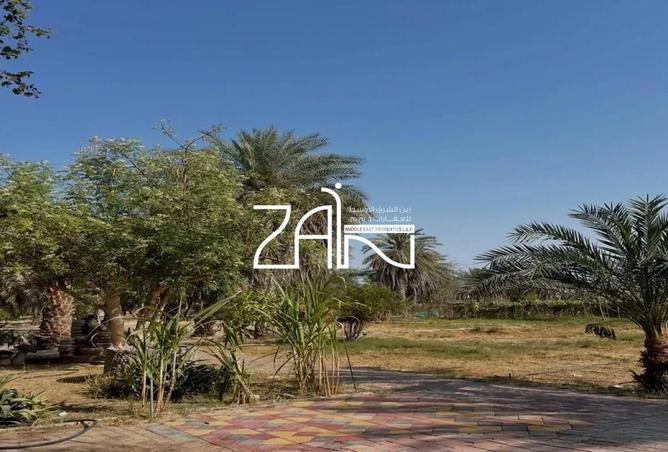 70693201 - صورة العقار 3