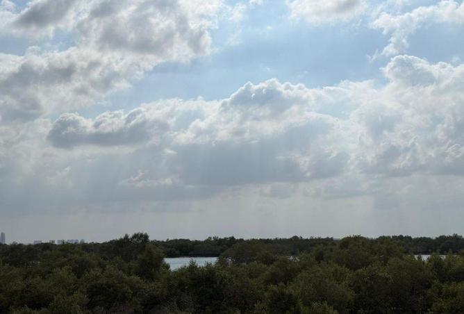 16162198 - Property Image 2